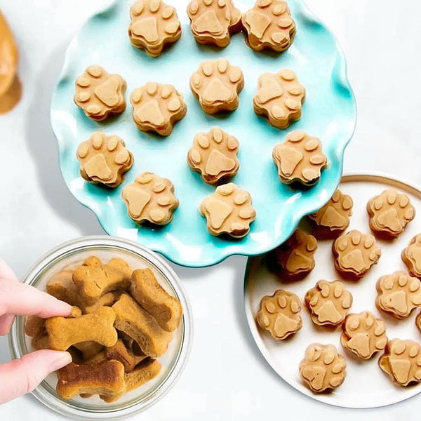 Selbstgemachtes Leckerli-Vorbereitungsset für Hunde
