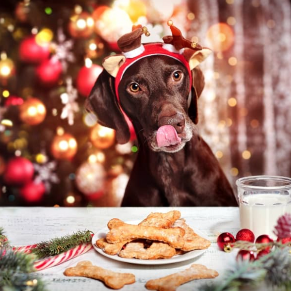 Komplettes Weihnachts-Spezialset