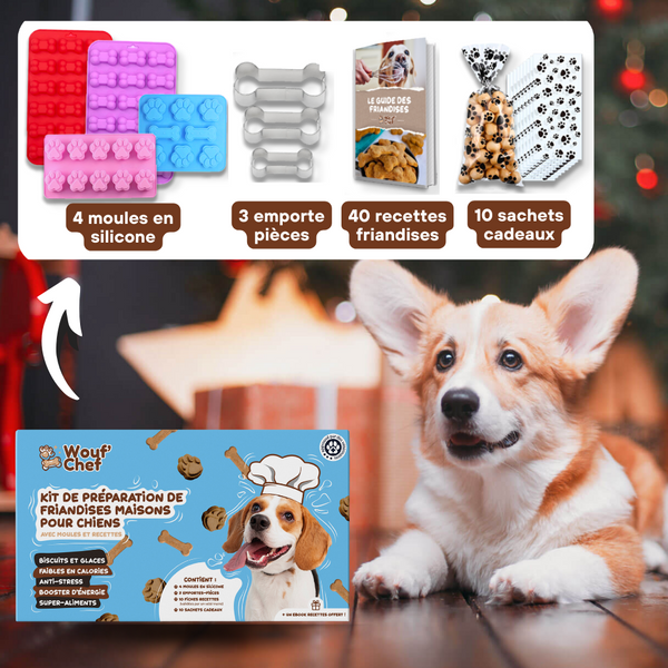 Kit de préparation de friandises maison pour Chien