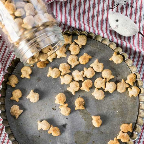 Kit zur Zubereitung selbstgemachter Leckereien für Katzen