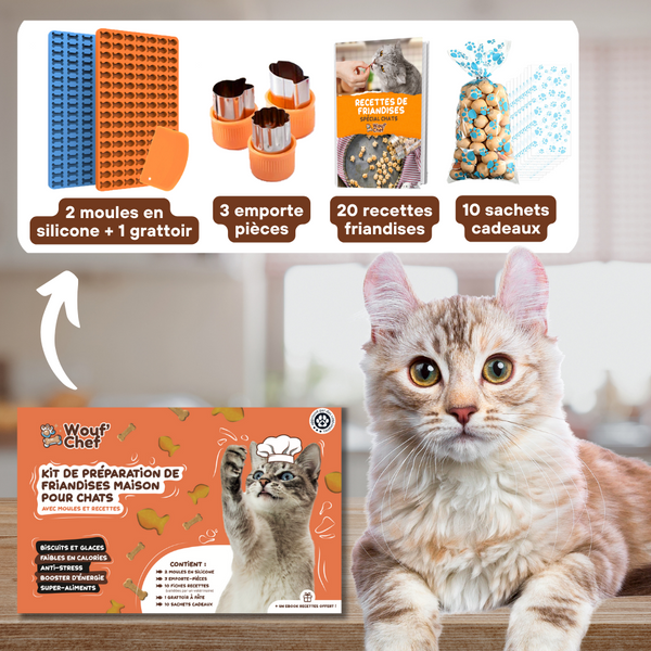 Kit zur Zubereitung selbstgemachter Leckereien für Katzen