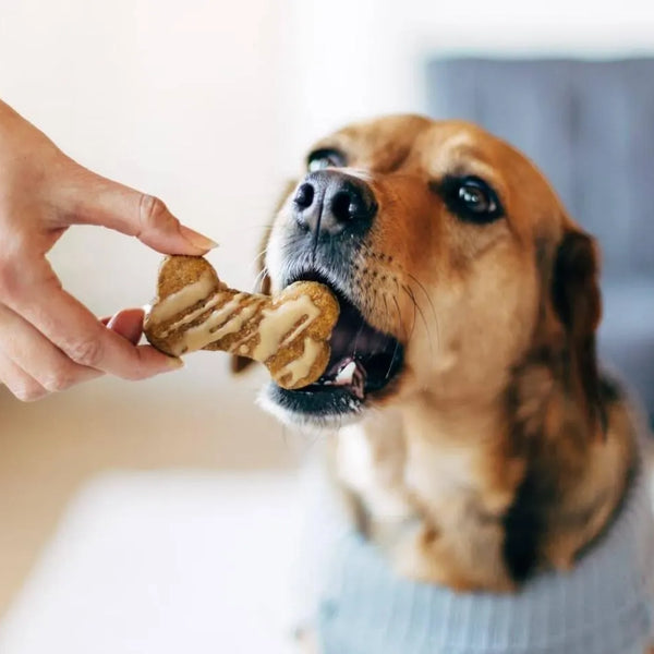 E-Book 30 Rezepte für hausgemachte Leckereien – Hunde