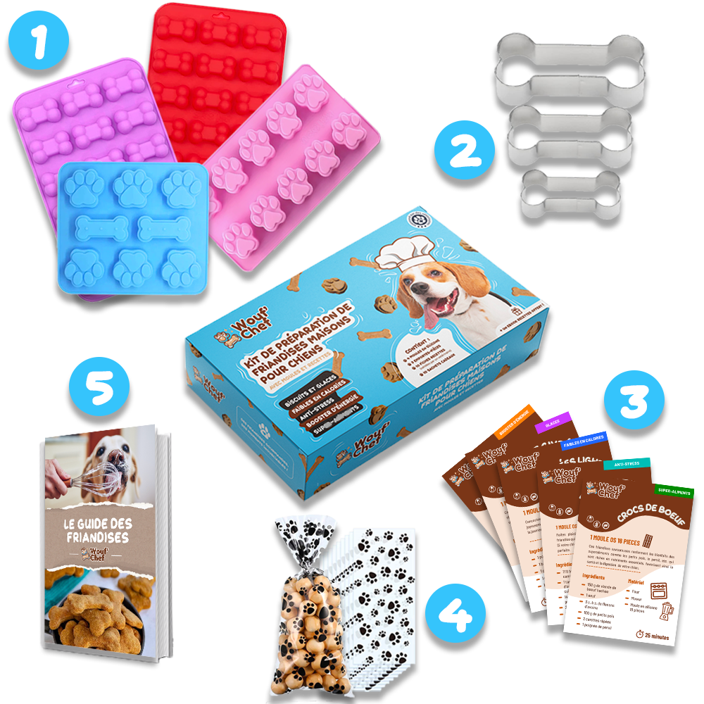 Friandises Pour Chien ECO WOOF - Wels Chips (Poisson-Chat) - Hypoallergénique, Sans Gluten, Riche En Protéines Et Oméga-3