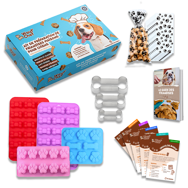 Kit fabrication de friandises pour chiens – MiaWouf